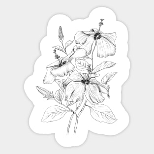 hibiscus flower black and white ink  illustration Sticker